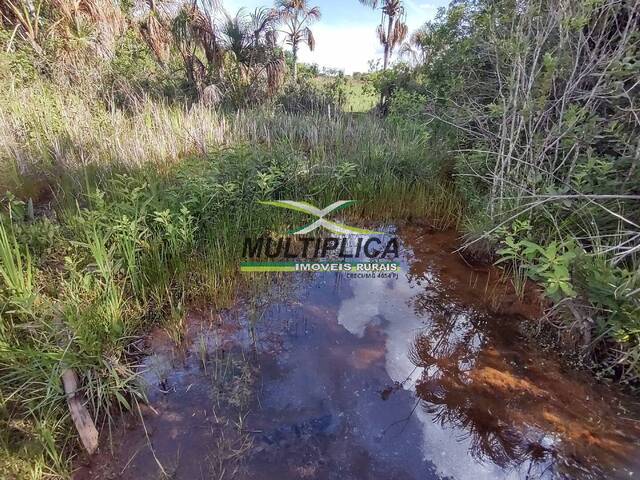 #464 - Fazenda para Venda em Monte Alegre de Minas - MG - 2