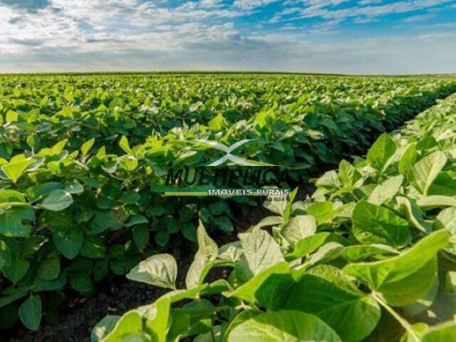#485 - Fazenda para Venda em Uberlândia - MG - 1