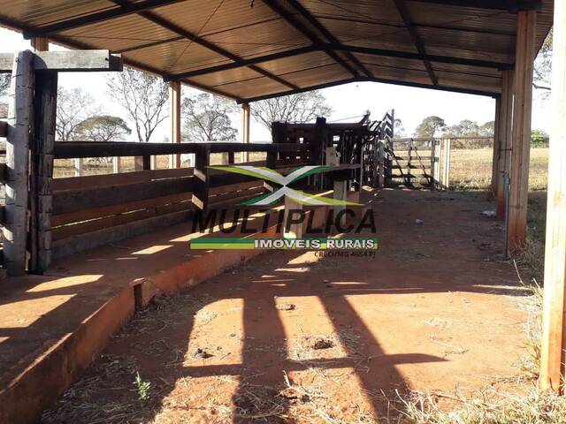 #570 - Fazenda para Venda em Ituiutaba - MG - 2