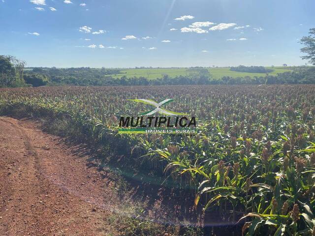 #650 - Fazenda para Venda em Conceição das Alagoas - MG - 3