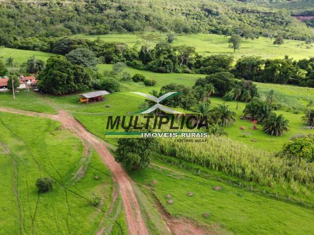 #654 - Fazenda para Venda em Gurinhatã - MG - 2