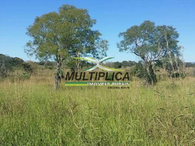 #396 - Fazenda para Venda em Santa Fé de Minas - MG - 2